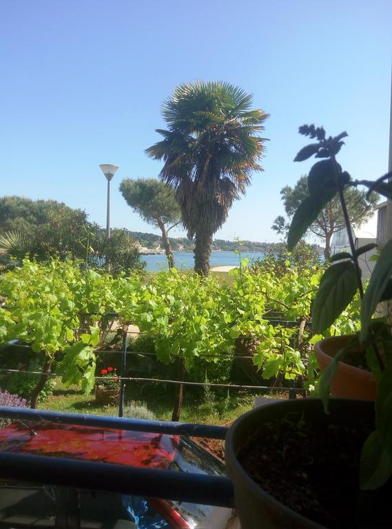 Linea Mare Apartment 罗维尼 外观 照片