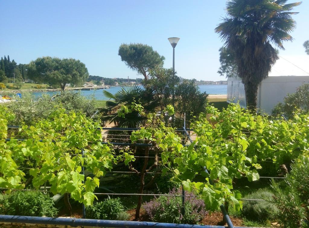 Linea Mare Apartment 罗维尼 外观 照片